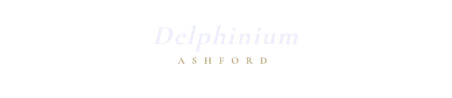 Delphinium Ashford