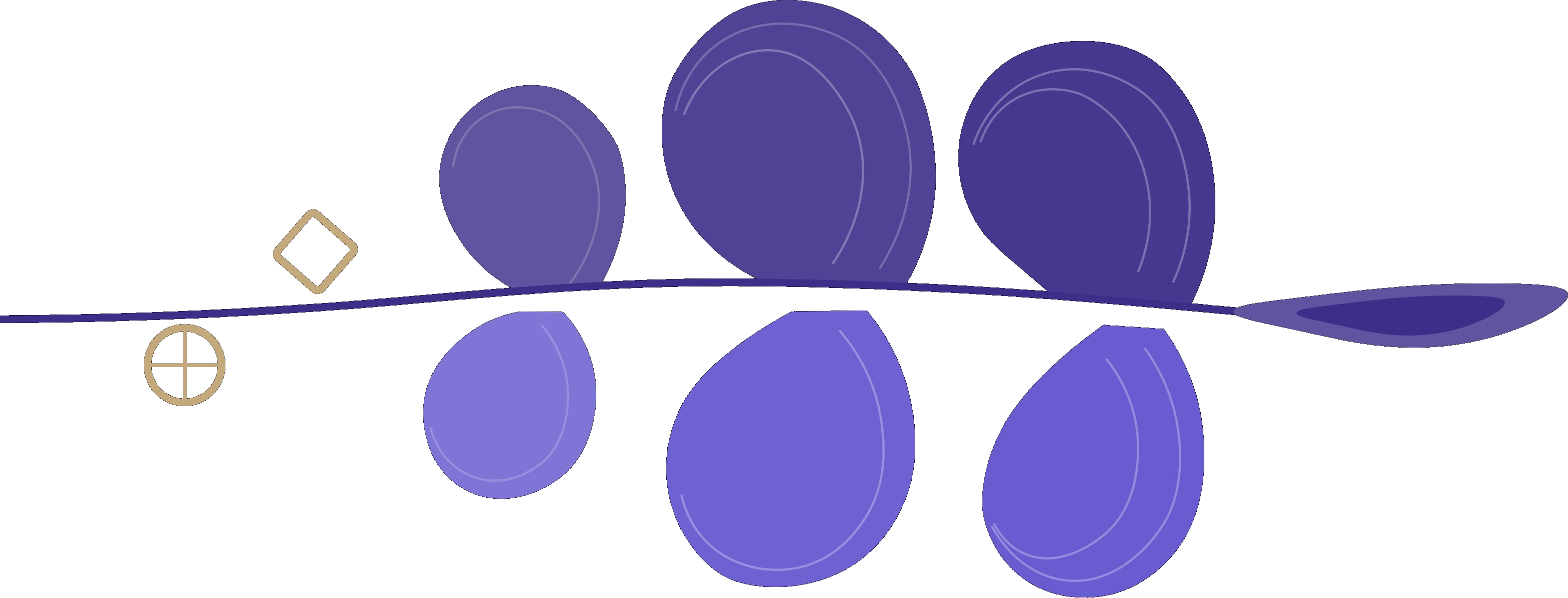 Delphinium